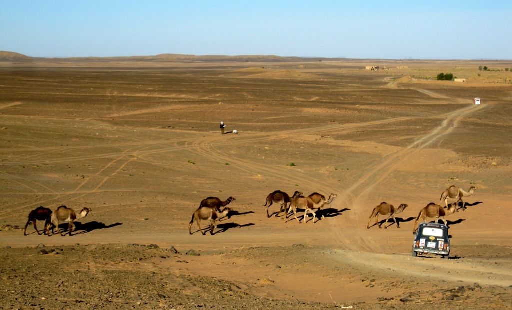 découvrez bab el raid, un rallye solidaire unique alliant aventure et solidarité à travers des paysages exceptionnels. participez à une expérience humaine et engagée pour soutenir des projets locaux.